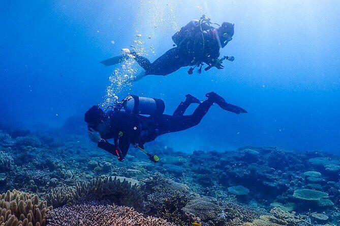 Okinawa Scuba Diving For Certified Divers (3 boat dives + Lunch) - Photos and videos: how the included media becomes real value