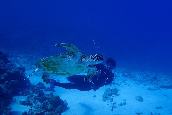 Okinawa Scuba Diving For Certified Divers (3 boat dives + Lunch) - Getting geared up: what’s included, what to bring, and what to double-check