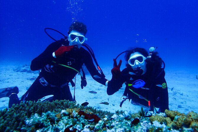 Okinawa: Scuba Diving Tour with Wagyu Lunch and English guide - Key highlights worth booking for