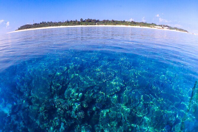 Okinawa: Scuba Diving Tour with Wagyu Lunch and English guide - Boat rides that keep the day from feeling exhausting