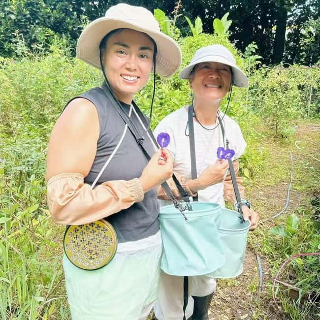 Okinawa: Traditional farming experience & cooking and a meal - Cooking Class on Sesoko Island: From Your Picks to Traditional Dishes