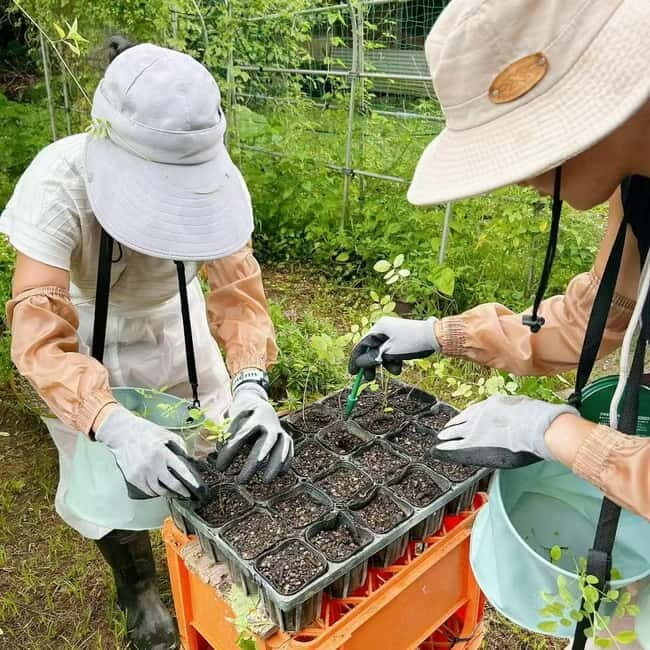 Okinawa: Traditional farming experience & cooking and a meal - Dinner and Food Tasting: Eating the Island You Just Harvested