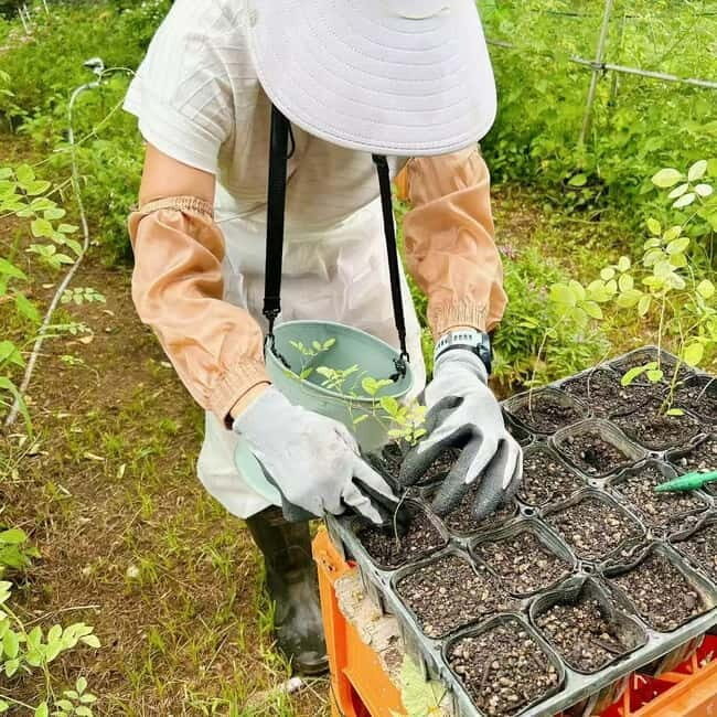 Okinawa: Traditional farming experience & cooking and a meal - Price and Value: Is $61 a Good Deal for This Kind of Day?