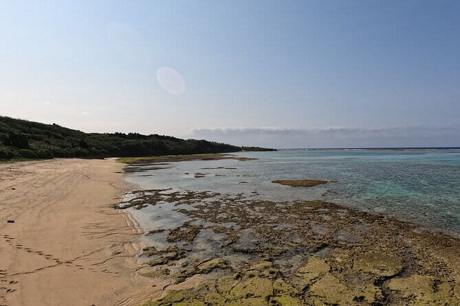 Okinawa's Gorgeous Beach & Snorkel Tour: Private & Customised - Private Pickup in Nago: The Yambaru Day Plan for Up to 5