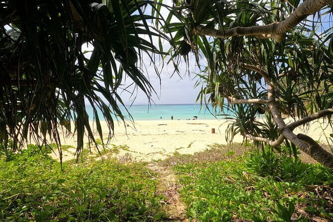 Okinawa's Gorgeous Beach & Snorkel Tour: Private & Customised - Yonamine Nagahama, Bise, Motobu-cho, Nakijin, and Gorilla Chop: Stop by Stop
