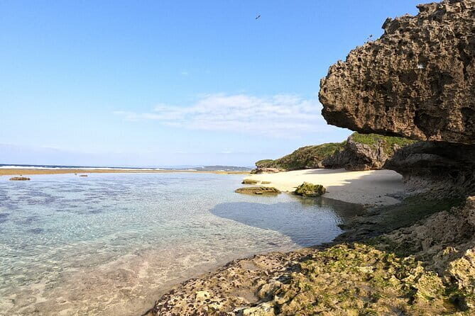 Okinawa's Gorgeous Beach & Snorkel Tour: Private & Customised - Nik Leads the Snorkel: Ability-Based Spots From Rock Pools to Outer Reef