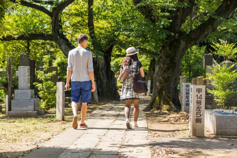 Old and Nostalgic Tokyo: Half-Day Yanaka Walking Tour - Price and value: where $83 really lands