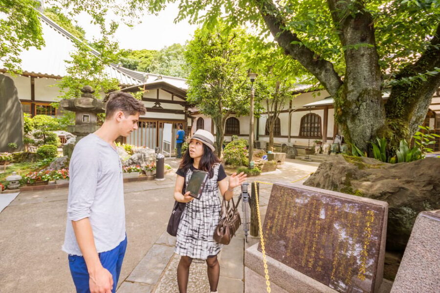 Old and Nostalgic Tokyo: Half-Day Yanaka Walking Tour - Yanaka Reien Cemetery: 7,000 tombstones and spring-season magic