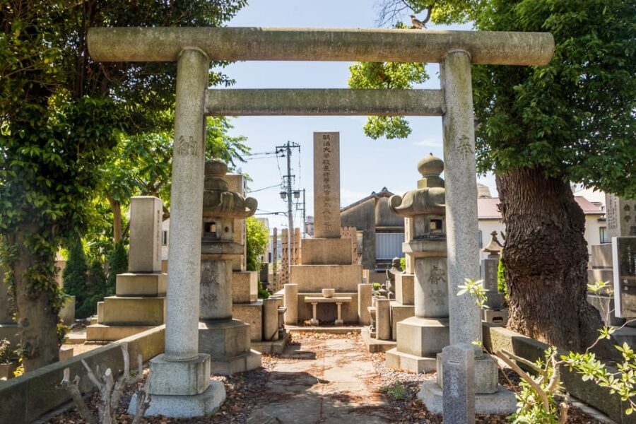 Old and Nostalgic Tokyo: Half-Day Yanaka Walking Tour - Yanaka-Ginza shopping street: snacks, sweets, and browsing like a local