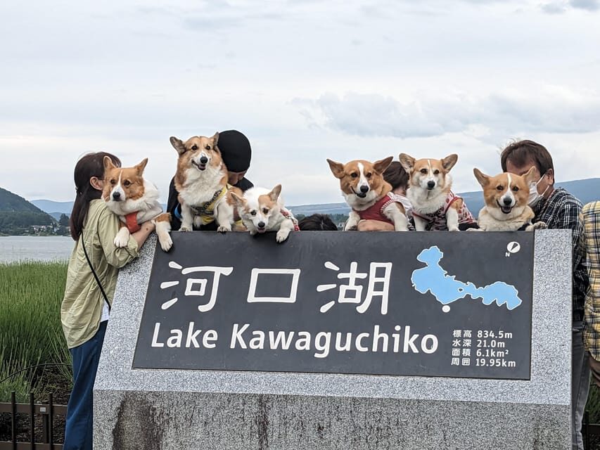 One Day 10hrs Mount Fuji Tour English Speaking Driver - Mt. Fuji Fifth Station: go only if the view is worth the climb