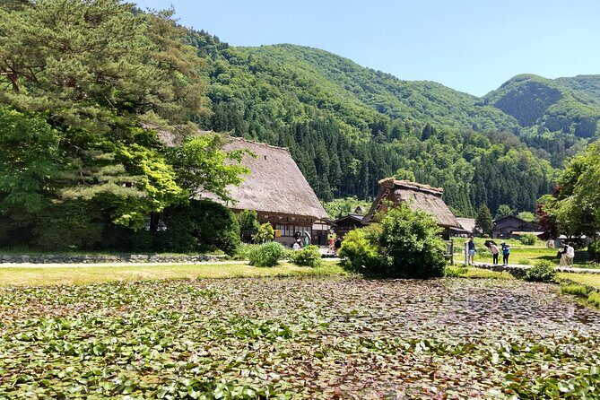 [One-day bus tour departing from Kanazawa Station] Shirakawa-go and Gokayama - Two World Heritage Villages Enjoyable Bus Tour - Shirakawa-go: freedom walking in the gassho houses of Ogimachi