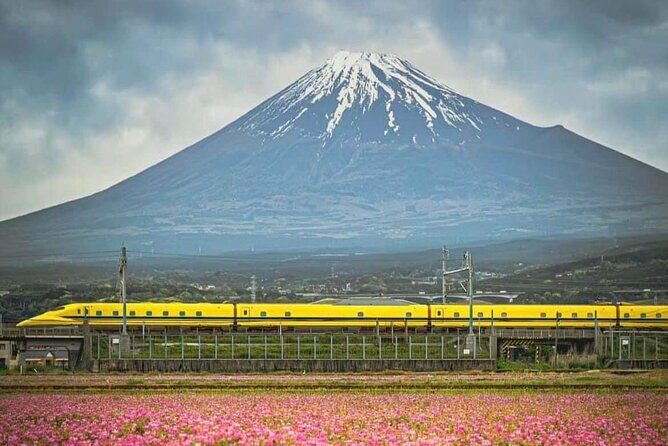 One day mountain Fuji & Hakone tour with English hindi bilingual - Kitaguchi Hongu Fuji Sengen Jinja + Oshino Hakkai: Sacred Forest and Spring Ponds