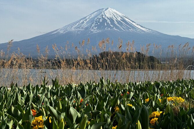 One day mountain Fuji & Hakone tour with English hindi bilingual - Mt. Fuji 5th Station: The Highest View Ticket Cost