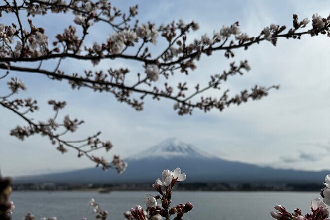 One day mountain Fuji & Hakone tour with English hindi bilingual - Lake Ashinoko: The Pirate Cruise and the Floating Torii