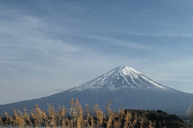 One day mountain Fuji & Hakone tour with English hindi bilingual - The Real Advantage: English–Hindi Guide Tips (Not Just Translation)