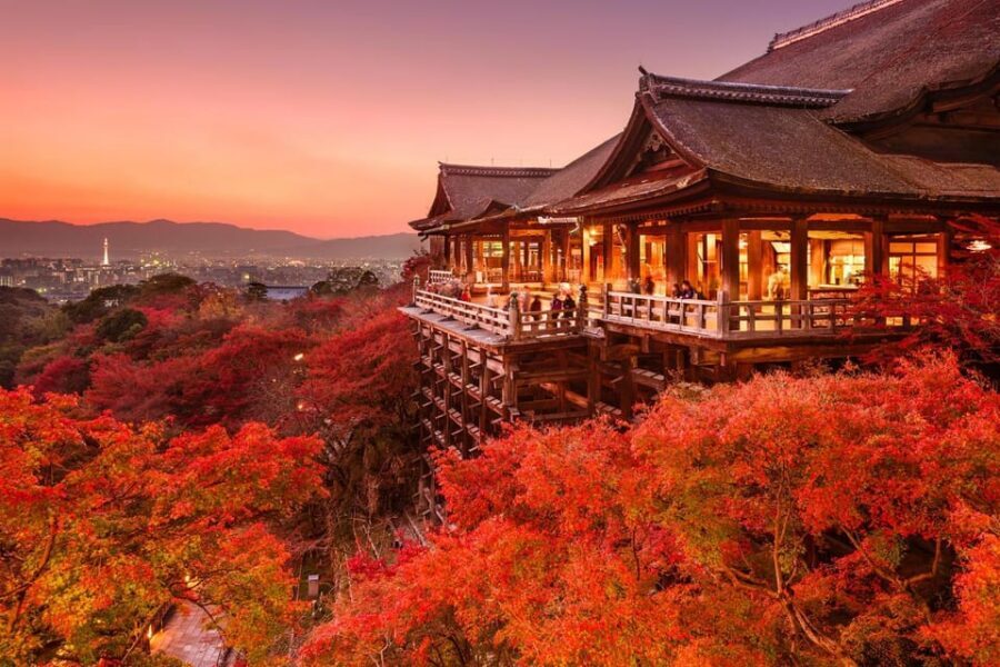 One Day Private Customized Self-Guided Tour in Kyoto - Pick-Up and Drop-Off: Kyoto, Osaka, Nara, Kobe, and the Port Detail