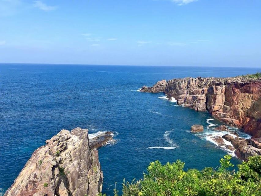 One Day Private Customized Self-Guided Tour in Wakayama - Kuroshio Market: the easiest place to start the day well