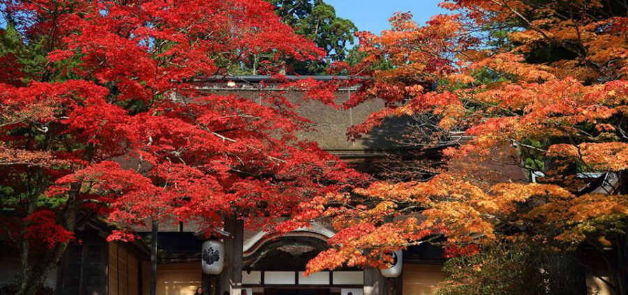 One Day Private Customized Self-Guided Tour in Wakayama - Kumano-Kodo Nakahechi Pilgrimage Route: possible, but choose your length