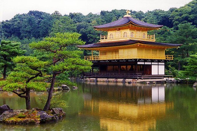 One-Day Tour of Kyoto's Highlights from Osaka/Kyoto - Arashiyama bamboo forest: cool shade and the Togetsukyo bridge