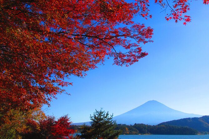 One Day Tour to Oishi Park and Fruit Picking in Mt. Fuji Tokyo - Getting out of Shinjuku early: what “9 to 10 hours” feels like