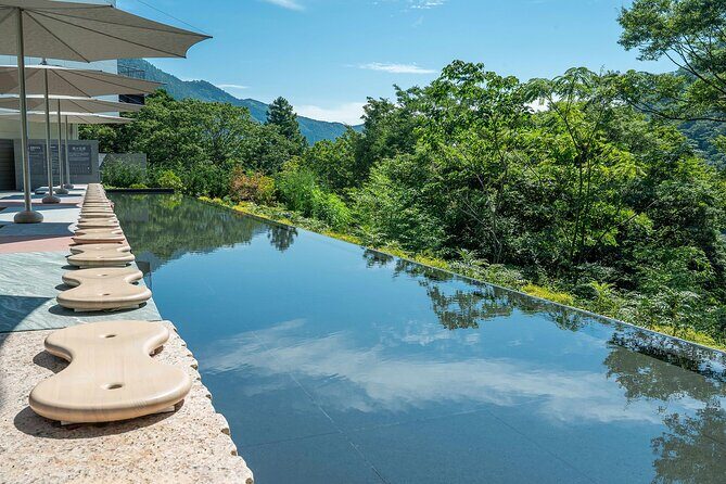 One day trip to Hakone from Tokyo with English speaking Driver - Price and value: is $352 per group actually a bargain?
