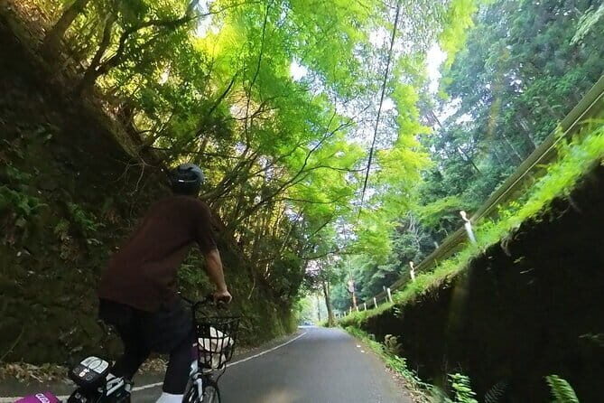 ONLY YOU in the Bamboo Forest! 4 hours E-bike tour with a local - Arashiyama by e-bike: hills made easy with a small group
