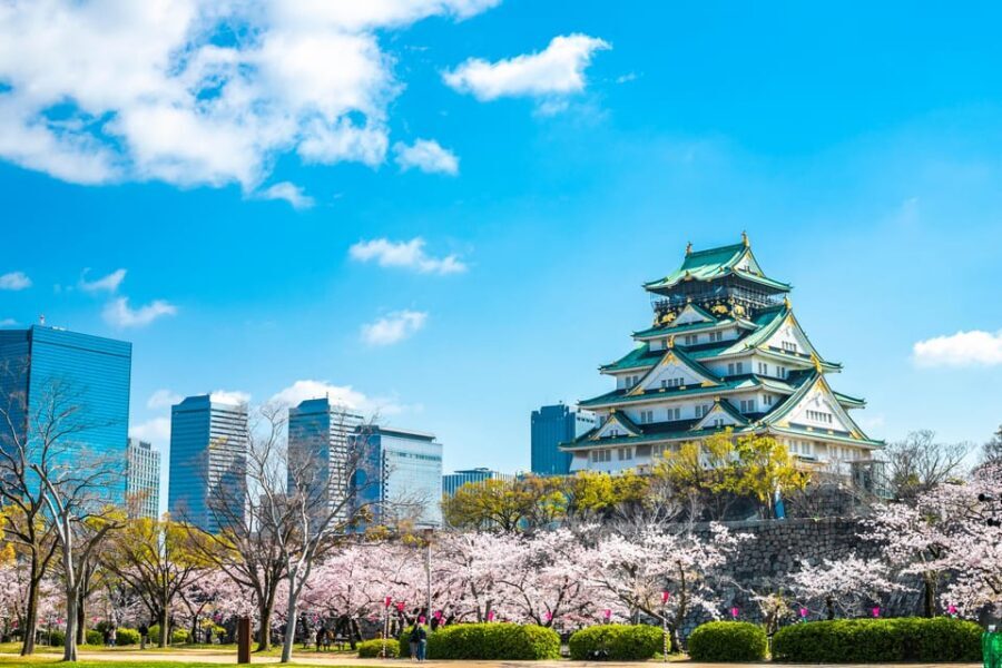 Osaka: 1-Day Private Customizable Trip by Car - Key things that make this Osaka day work