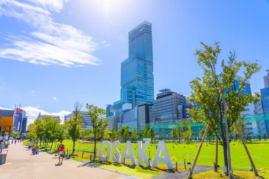 Osaka: 1-Day Private Customizable Trip by Car - Why a private Osaka car day beats trains for 9 hours