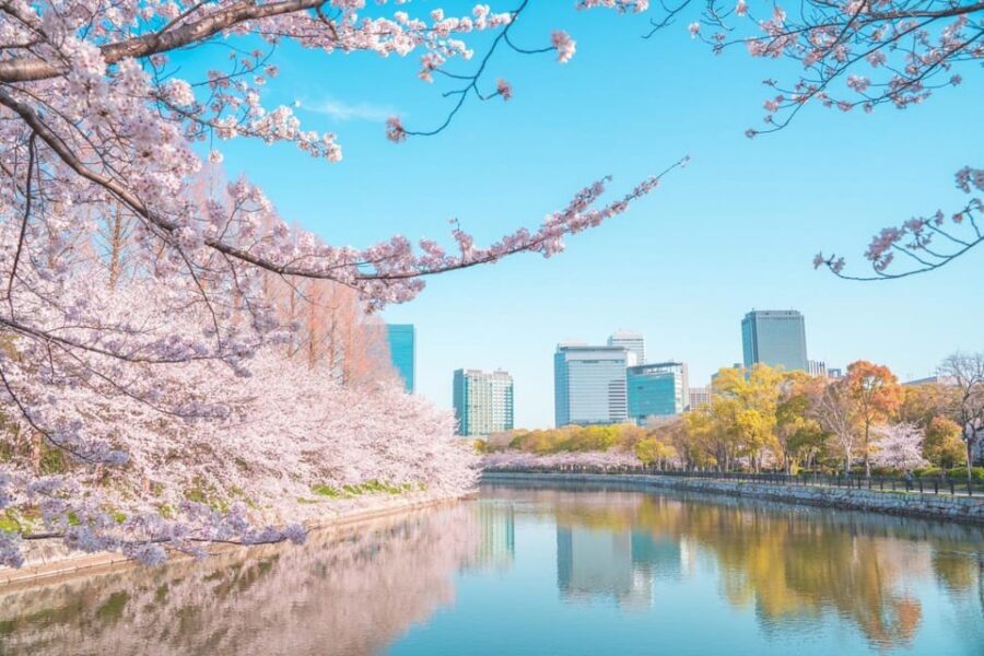 Osaka: 1-Day Private Customizable Trip by Car - Osaka Castle: an easy first win with 80 minutes to explore