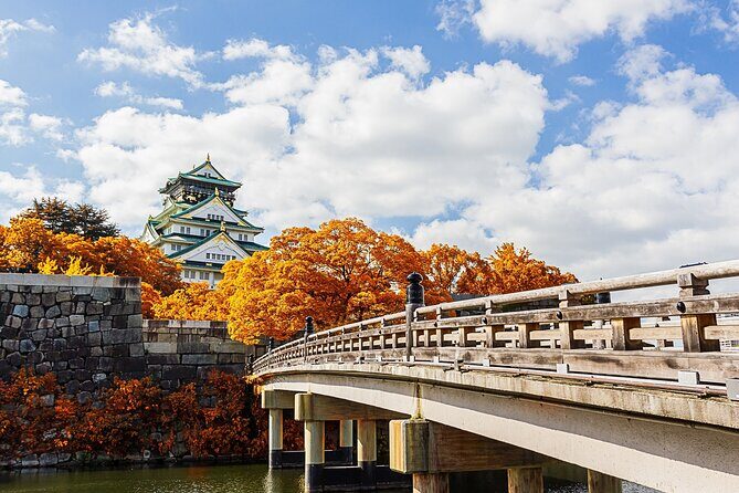 Osaka 6 hr Private Tour: English Speaking Driver Only, No Guide - Dotonbori Food Streets: Takoyaki Plus Big Osaka Energy