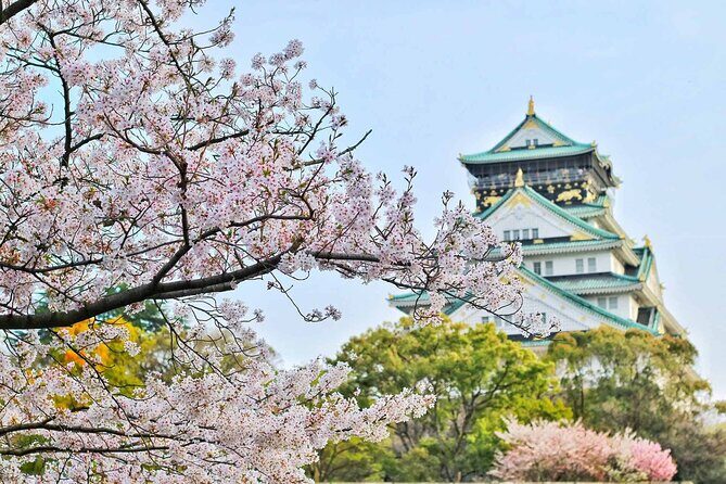 Osaka 6 hr Private Tour: English Speaking Driver Only, No Guide - Timing Tips So You Don’t Feel Rushed