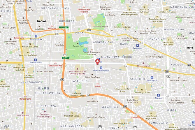 Osaka Abeno Harukas 300 Observatory ETicket - Timing tips: sunset viewing plus night light show with music