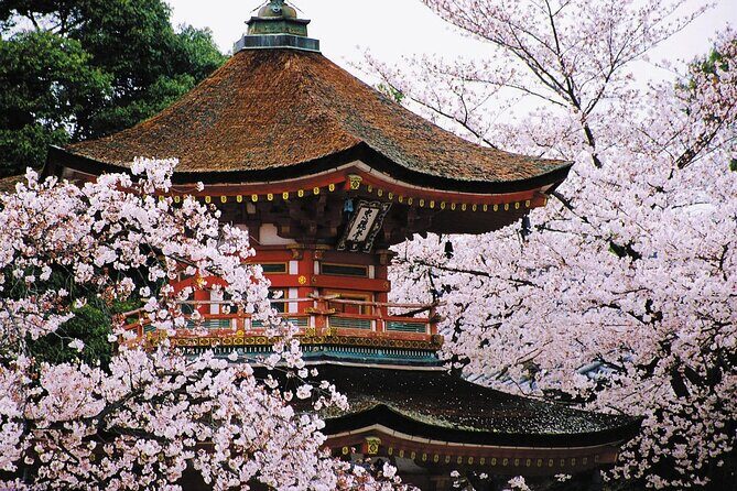 Osaka and Kansai Private Customized Day Tour - How A 10-Hour Private Charter Works In Kansai