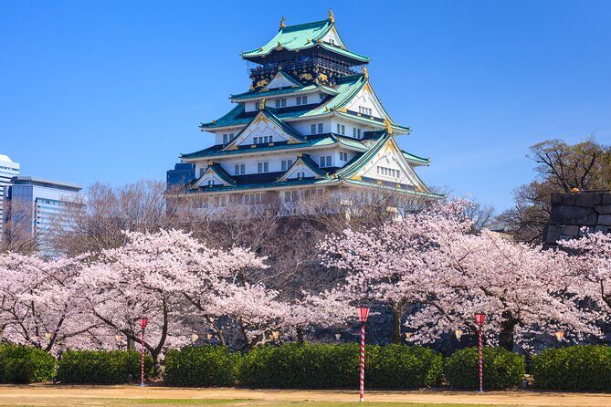 Osaka and Kansai Private Customized Day Tour - Price and Logistics: Is $554 Worth It?