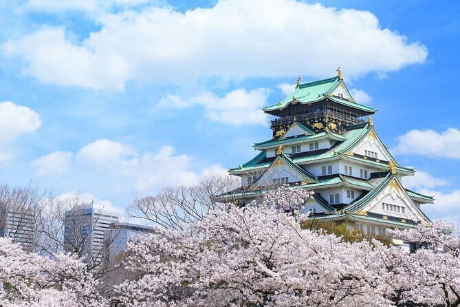 Osaka and Nara Attractive One Day private Tour - Logistics That Affect Your Experience: Pickup, Timing, and Ride Time