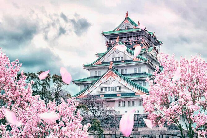 Osaka and Nara Day Tour with Private Transportation - Key highlights that make this day tour work