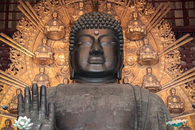 Osaka and Nara Day Tour with Private Transportation - Todai-ji Temple: Where the Great Buddha Feeling Hits