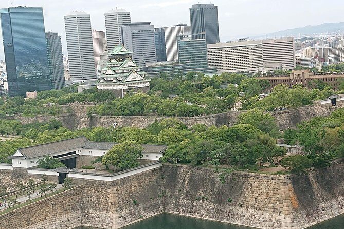 Osaka Castle & Dotonbori Lively One-Day Walking Tour - Key highlights you’ll actually care about