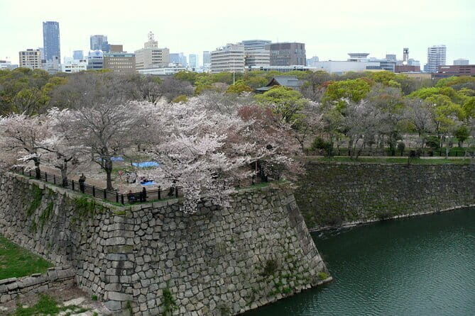 Osaka Castle & Samurai History Walking Tour - Meeting at Osaka Castle Park: start easy, then walk with purpose