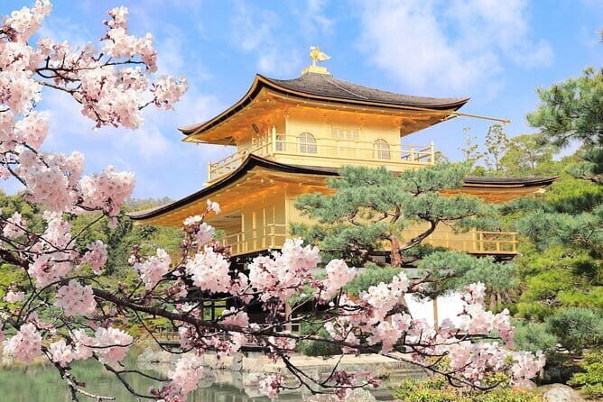 Osaka Castle & Samurai History Walking Tour - Hokoku Shrine: Toyotomi Hideyoshi’s legacy in a quieter setting