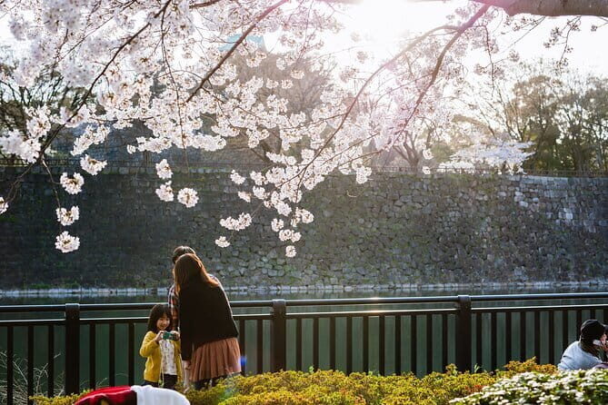 Osaka Castle & Samurai History Walking Tour - Nishinomaru Garden: a calm pause inside the castle grounds