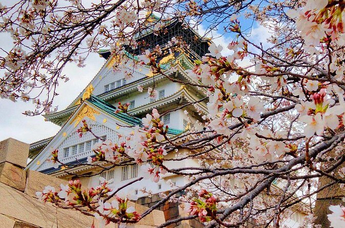 Osaka Castle & Temple Walking Tour with Multilingual Audio Guide - Osaka Castle Park: exterior viewpoints and Main Tower photo angles