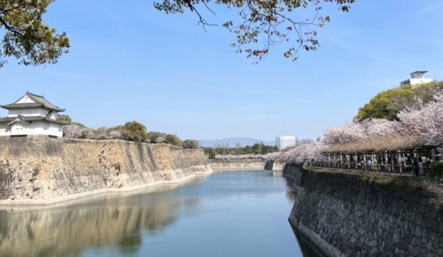 Osaka: Full-Day City Tour with a Guide and Public Transport - How the day is built: a smart Osaka highlights route