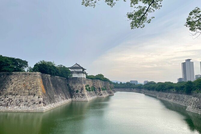 Osaka Full-Day Experience with Castle, Kushikastu and Temple - Meeting Point to Final Gate: Getting Oriented Without Stress
