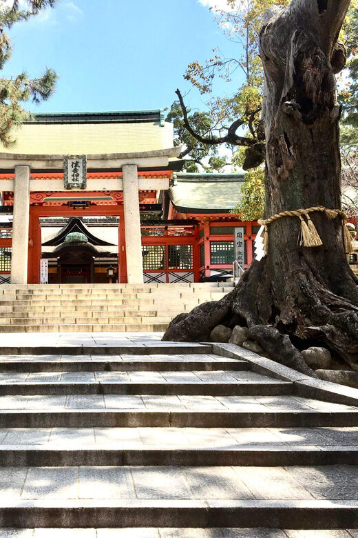 Osaka: Full-Day Private Guided Tour of the Historical City - Osaka Castle: medieval walls and samurai-era lessons (2 hours)