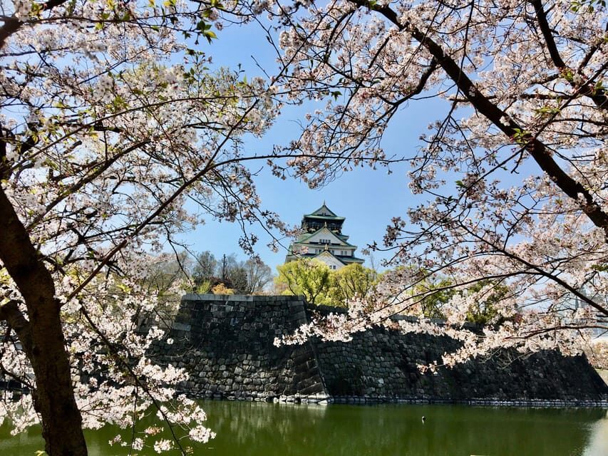 Osaka: Full-Day Private Guided Tour of the Historical City - Price and logistics for a $225 private day