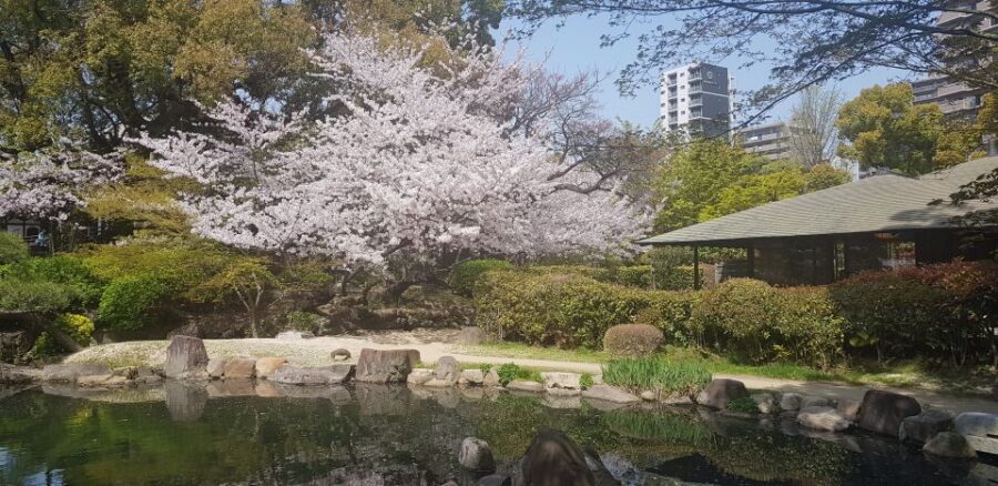 Osaka: Full-Day Sightseeing Tour by Private Vehicle - Abeno Harukas 300: a glass elevator up top, and real food at the bottom