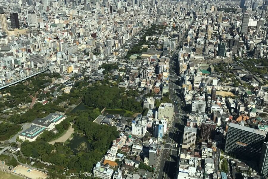 Osaka: Full-Day Sightseeing Tour by Private Vehicle - Kuromon Ichiba Market: iconic market energy plus smart guidance