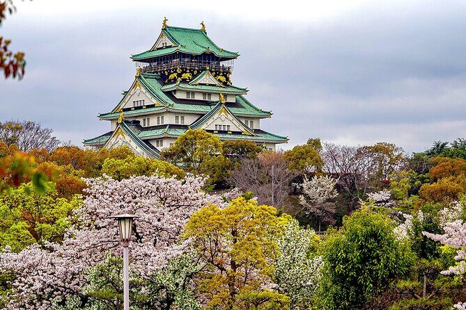 Osaka Full Day Walking Tour with Local Expert Guide - How this full-day Osaka walking tour actually plays out