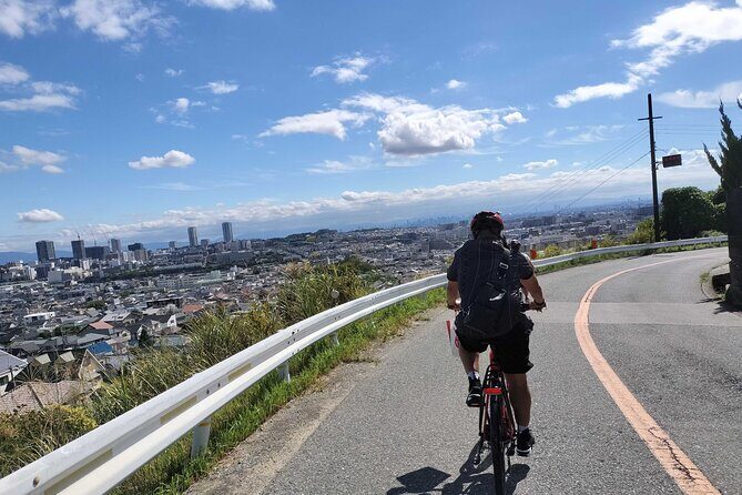 Osaka Half-day E-bike Adventure: Minoh Falls & Katsuoji Temple - Key highlights you’ll care about